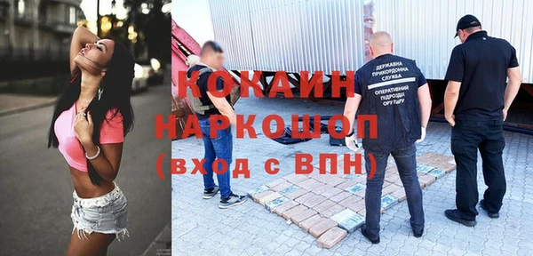 соль ск Алексин