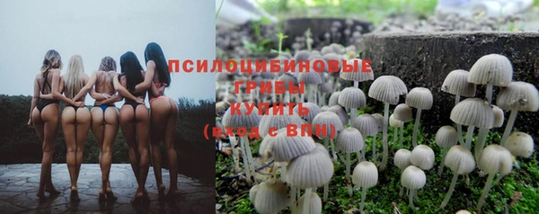 jwh Алзамай