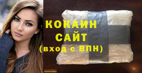 соль ск Алексин