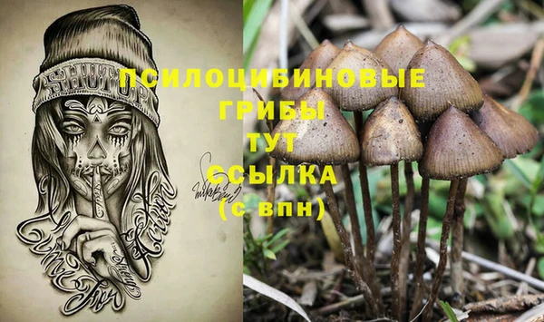 jwh Алзамай